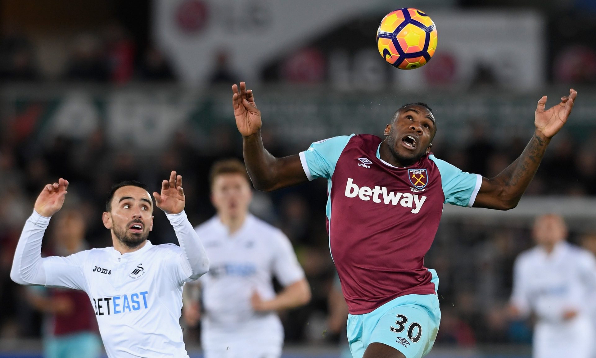 成功案例的 成功案例的